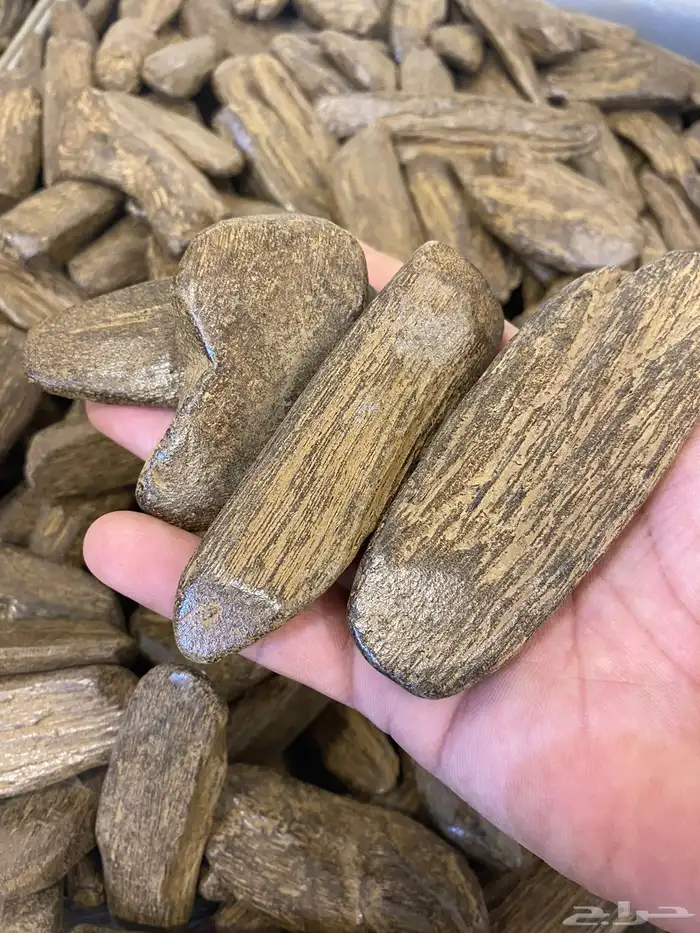 عود مروكي كسر كبيره 0
