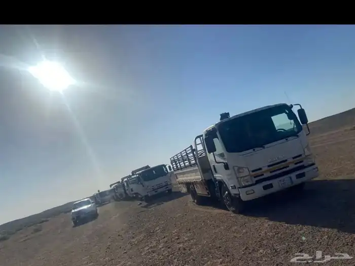 دنا لنقل الابل 0