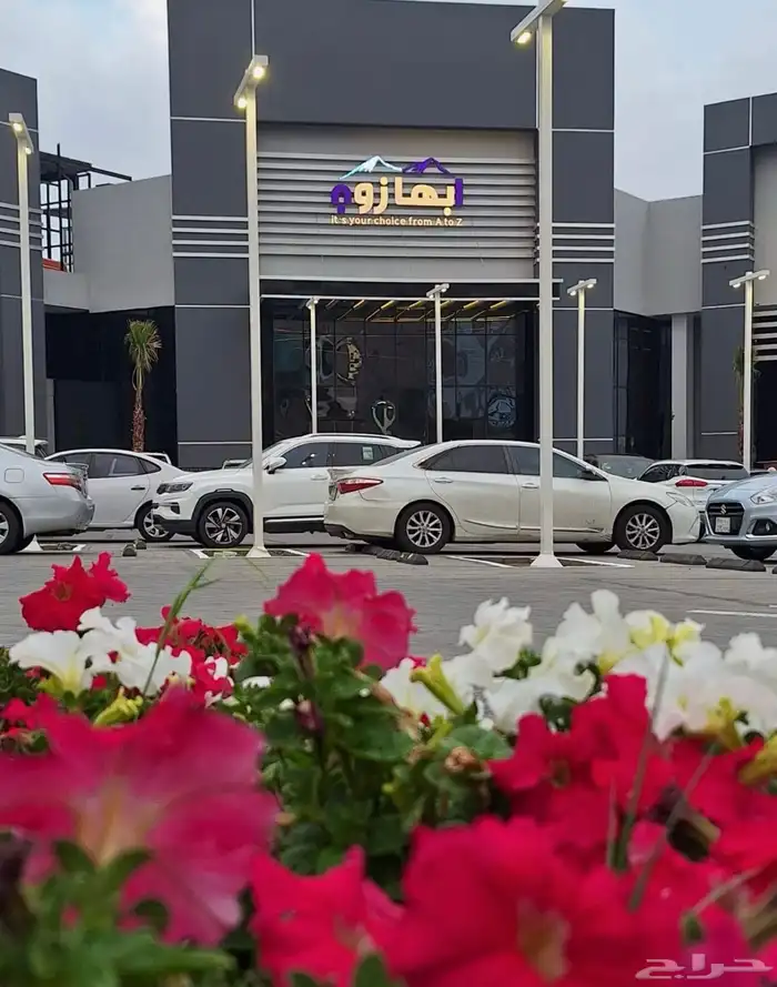 الريحانه مول سابقا 0