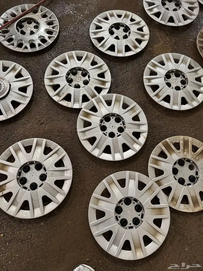 طيس ماركيز طيس فكتوريا 3