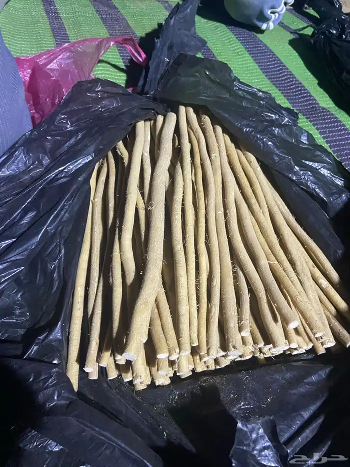 مسواك وادي حلي نقوه 2