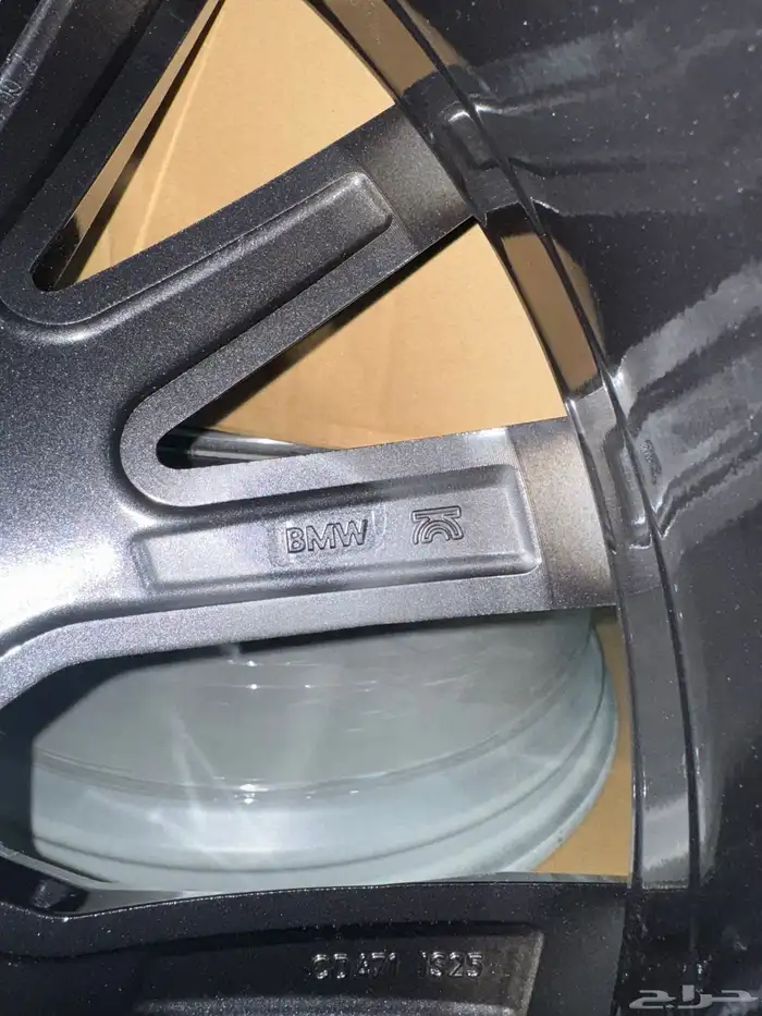 جنوط بي أم الفئه السابعة 2022 1
