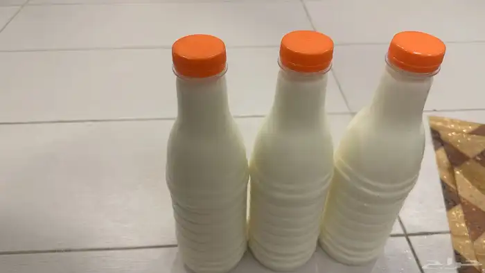متوفر لبن ماعز جاهز لشرب 1