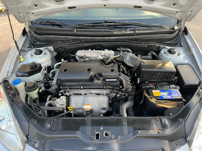 اكسنت 1 1 0 2 وردة 26