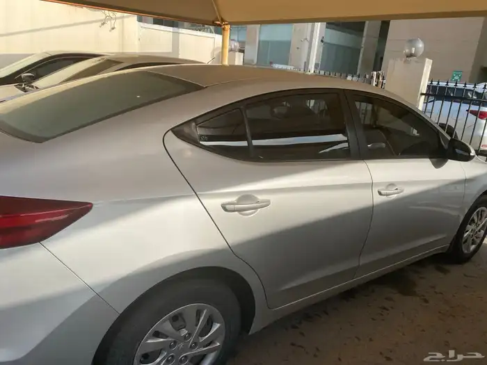 النترا 2019 1