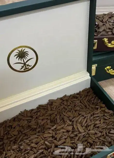 عود الفخامه الملكي سكاكا 5