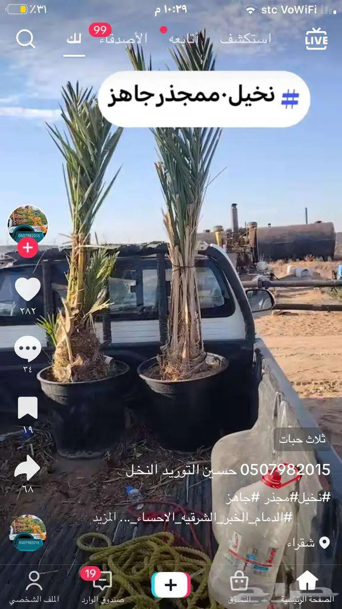 نخيل البيع الخرمه الدغميه ام راكه رنيه الطايف 3