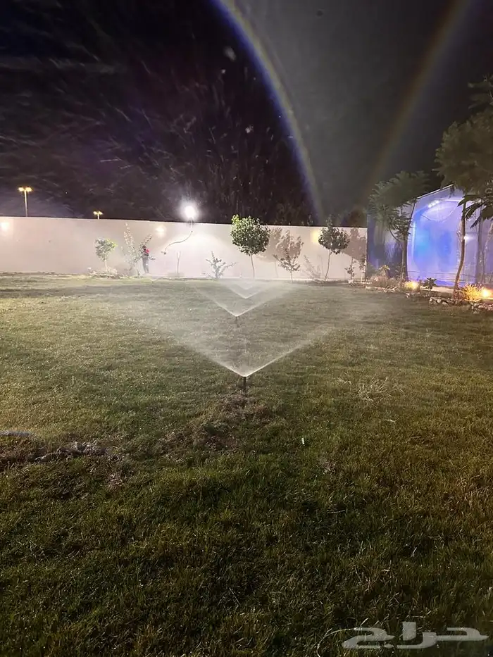 عشب طبيعي (إنجيلة طبيعية) 14