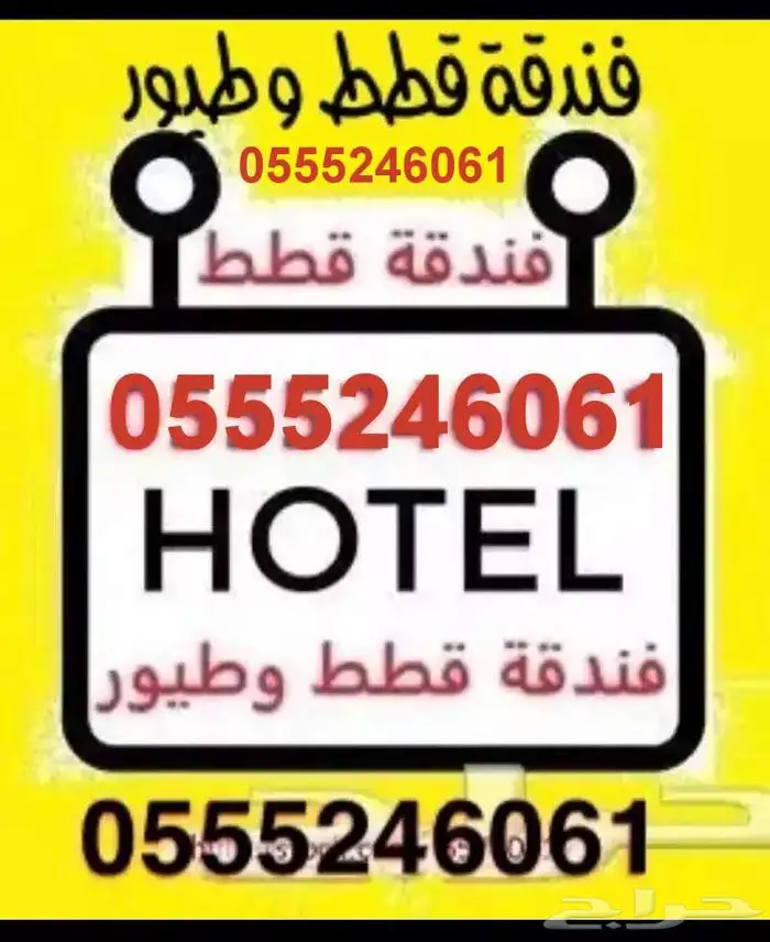 فندقة قطط - طيور - شاهد تقييمات الزبائن - الرياض 1