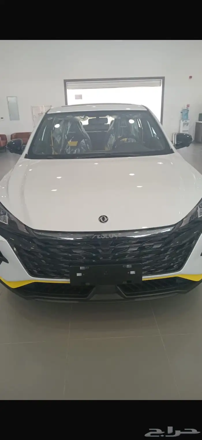 2024 دونغفنغ شاين E3 0