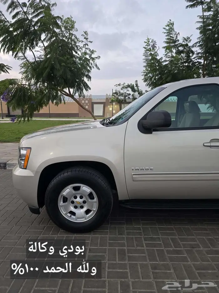 تاهو نص فل مخزن وكالة (تم البيع) 20