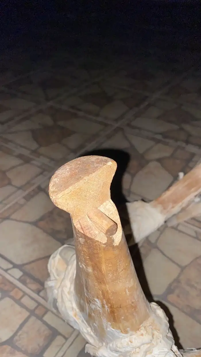 شداد ركض صغير 1