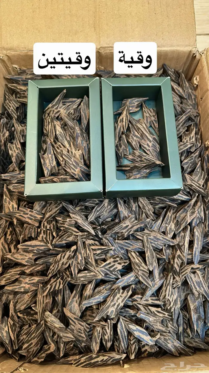 عود كمبودي تايقر 2