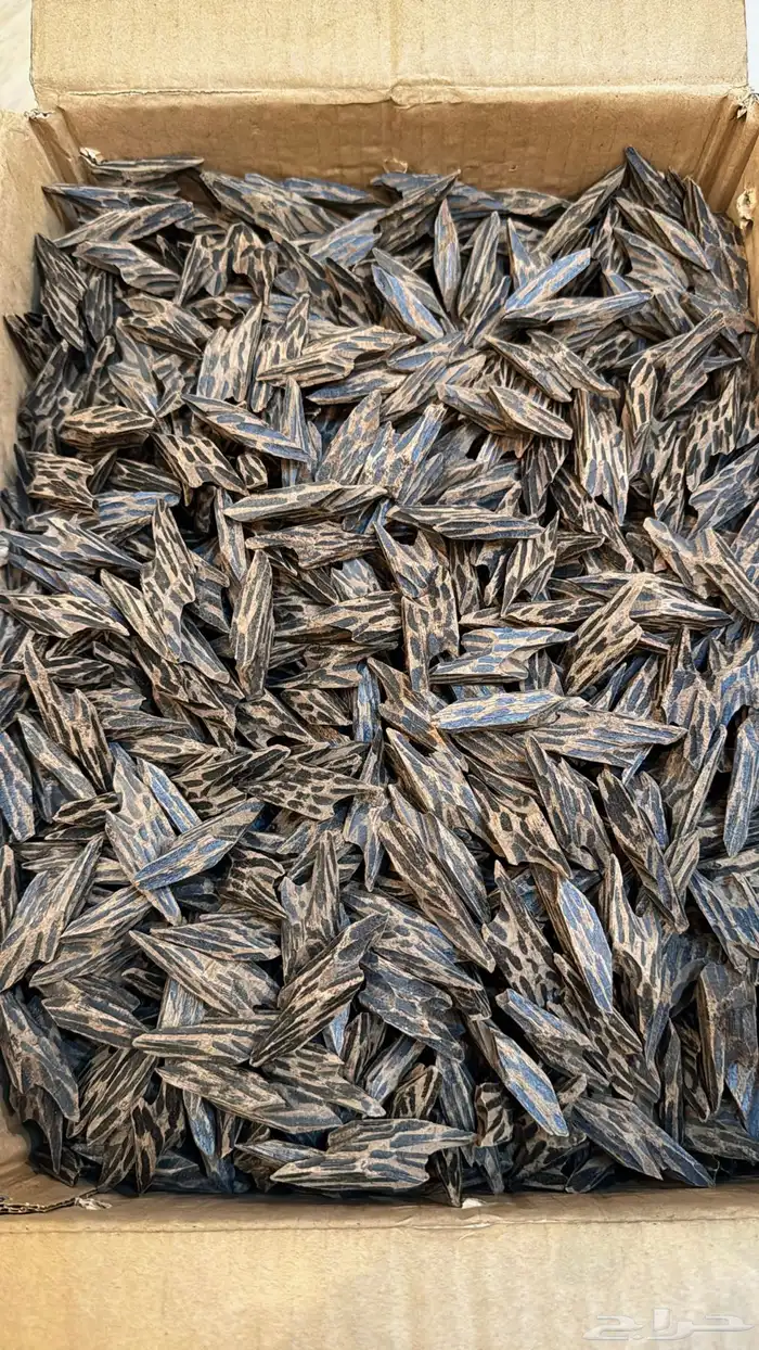 عود كمبودي تايقر 1