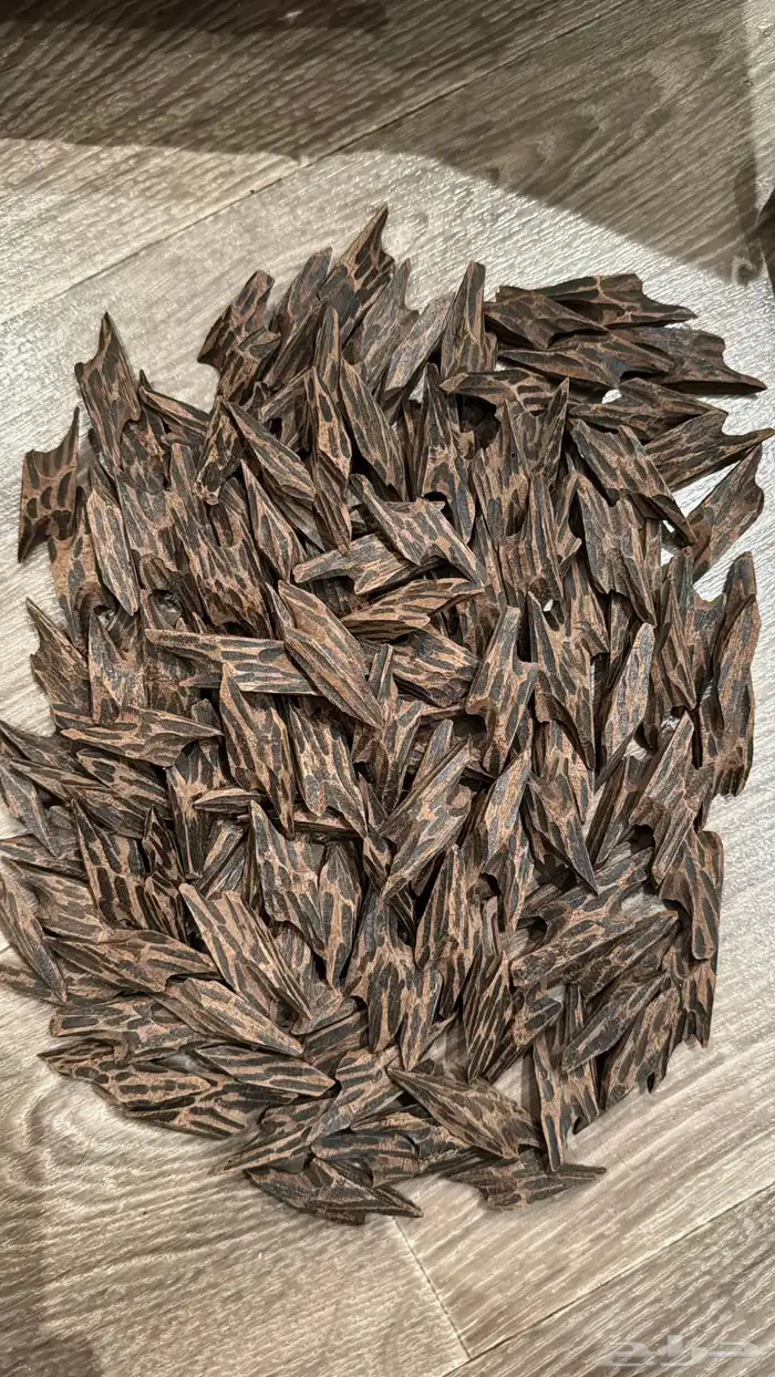 عود كمبودي تايقر 3