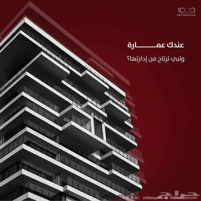 اداره املاك بنسبه 5 بالميه 8