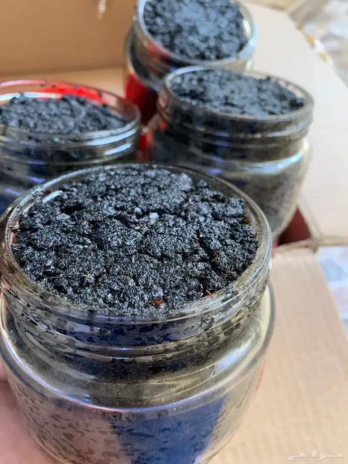 مبثوث الأميرات الفاخر 2