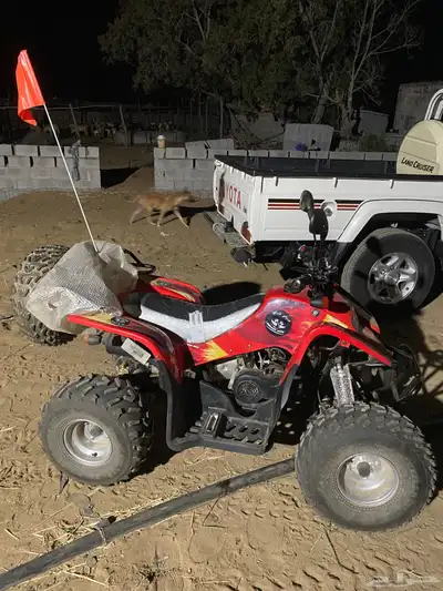 دباب سويدي 3
