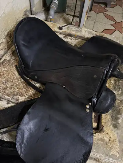 سرج عادي نضيفة بالحيل للبيع 2