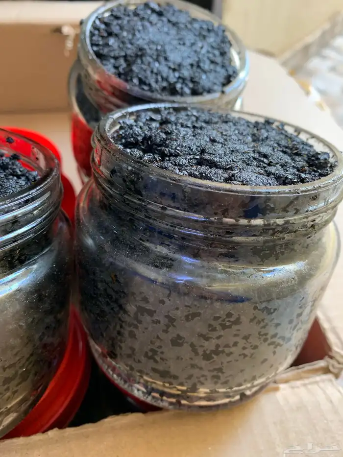 مبثوث الأميرات الفاخر 3