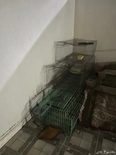 للبيع شبوك حمام والأرانب 0