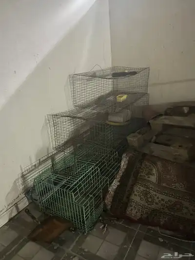 للبيع شبوك حمام والأرانب 1