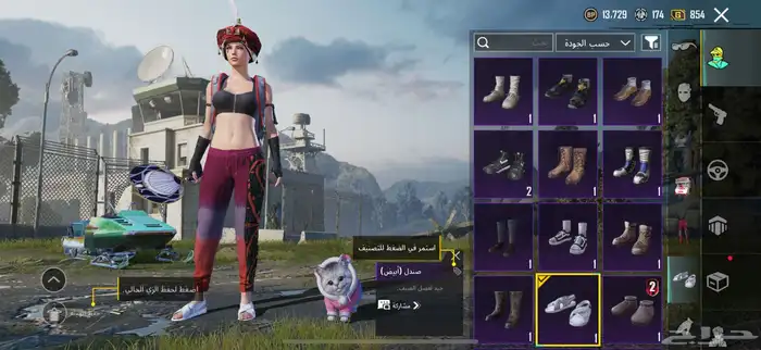 حساب ببجي للبيع الحد 650 11