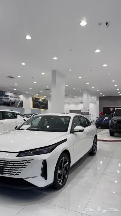 شنجان ايدو بلس ليميتد 0