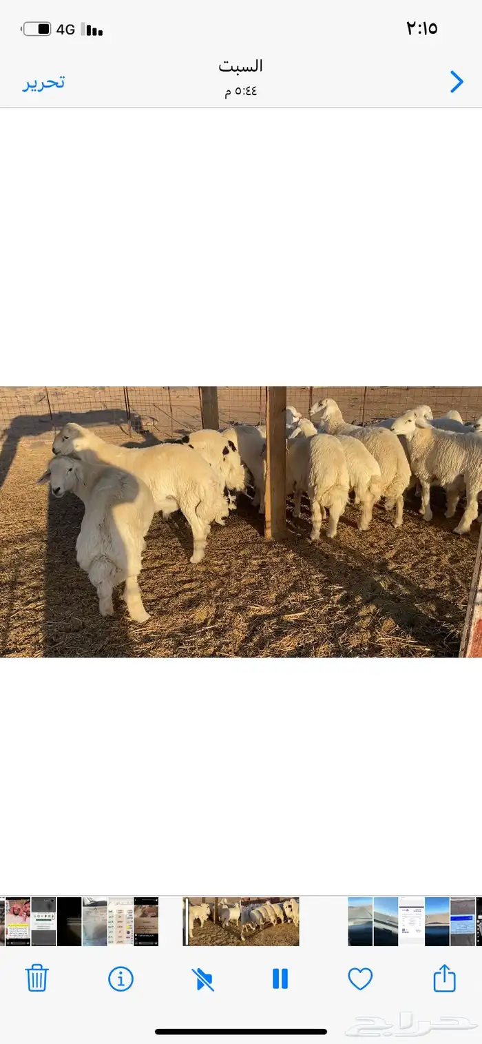خرفان جبره 2