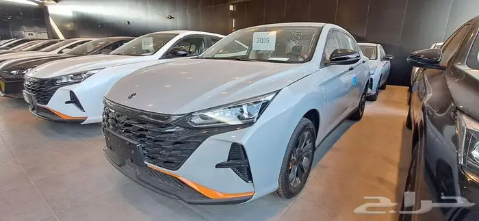 دوينغ فينغ شاين 2025 افل سعر بالممكله 4