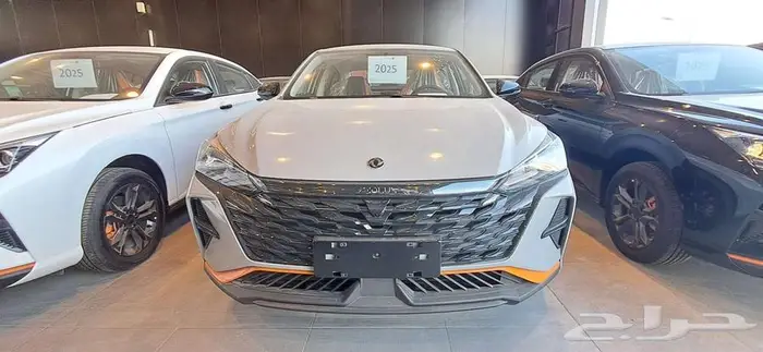 دوينغ فينغ شاين 2025 افل سعر بالممكله 0