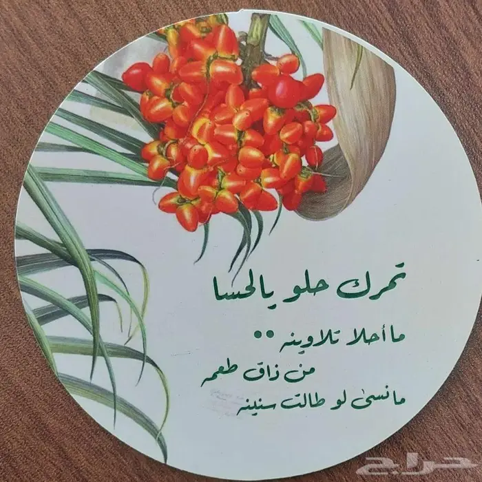 الدمام - الخبر 2
