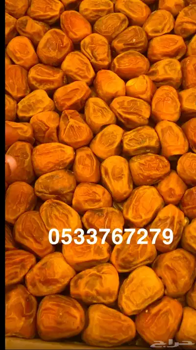 جميع أنواع التمور الفاخر 6