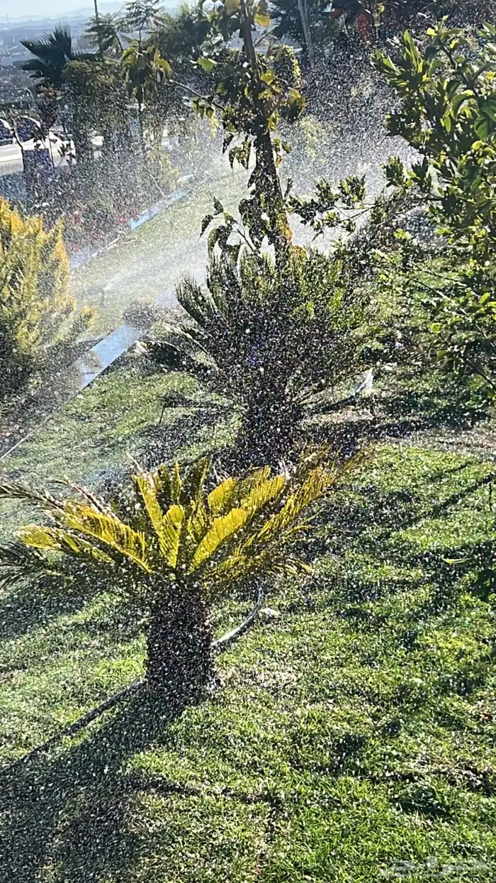 زراعه وحدائق 11