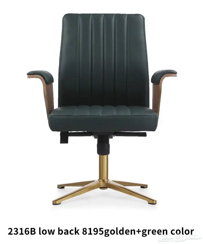 مكتب اخضر و جملي بيج جلد طقم فخم مكتب موظفين طاولة اجتماع 16