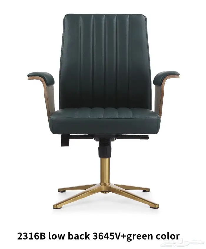 مكتب اخضر و جملي بيج جلد طقم فخم مكتب موظفين طاولة اجتماع 18