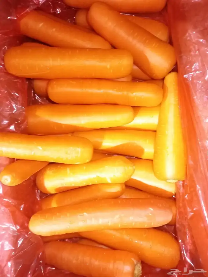 خضار وفواكه 9