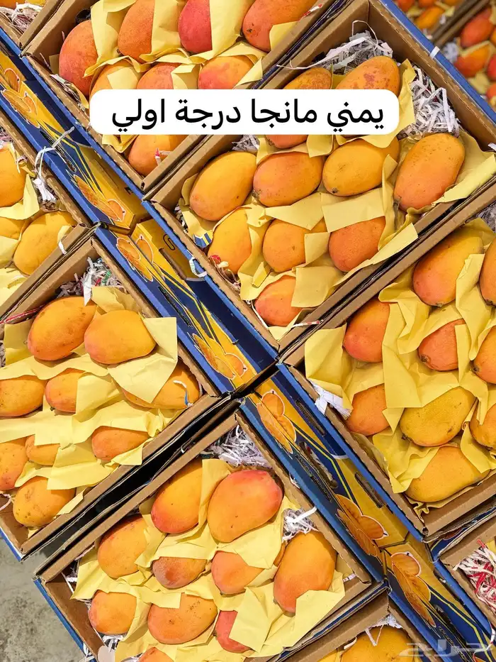 خضار وفواكه 12