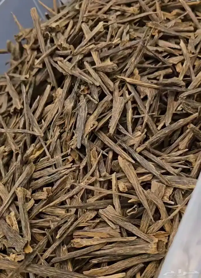 عود سيوفي 0