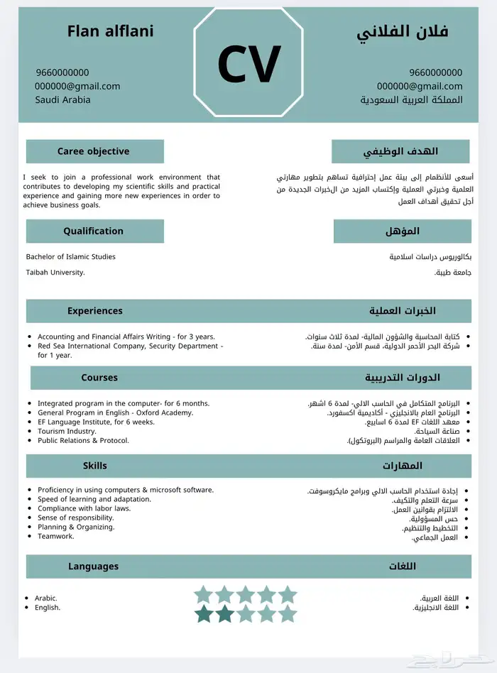 سيرة ذاتية احترافية 4