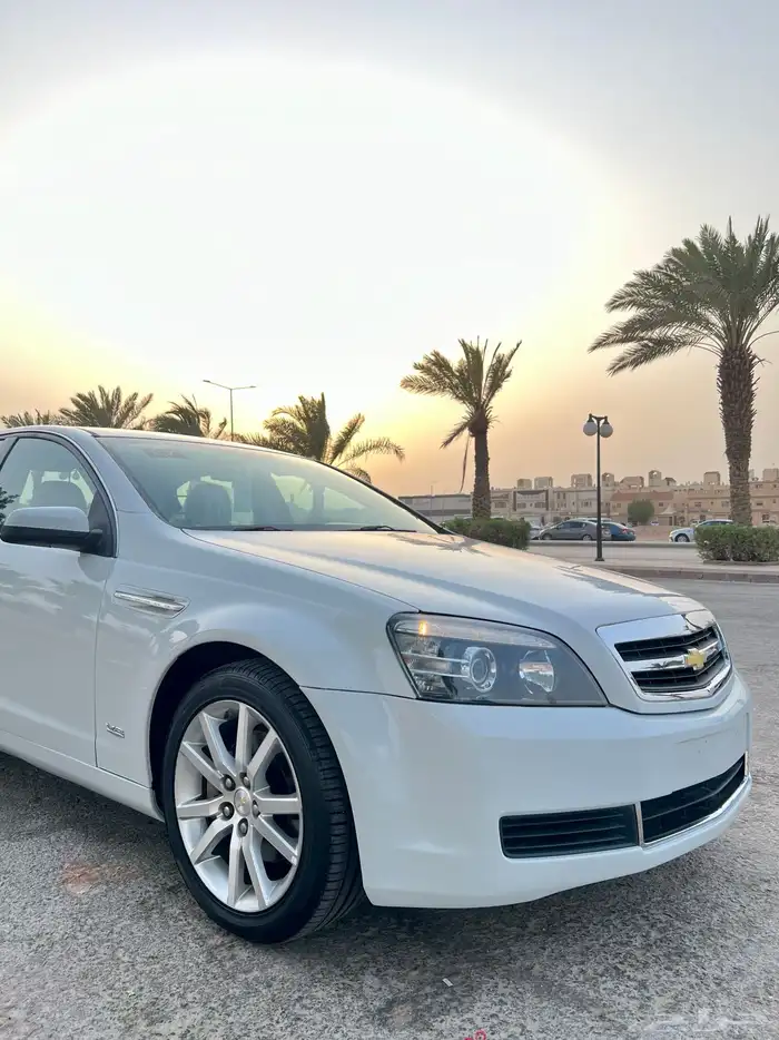 كابرس 15 ابيض LS 39