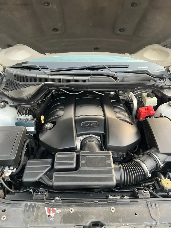كابرس 15 ابيض LS 41