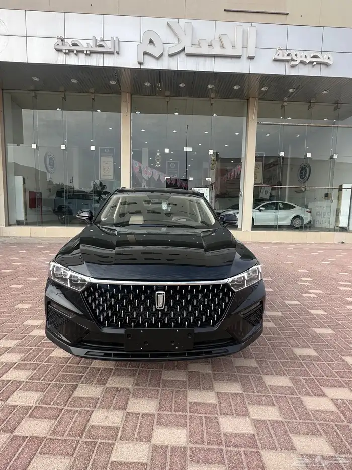 بيستون فاو T77 0
