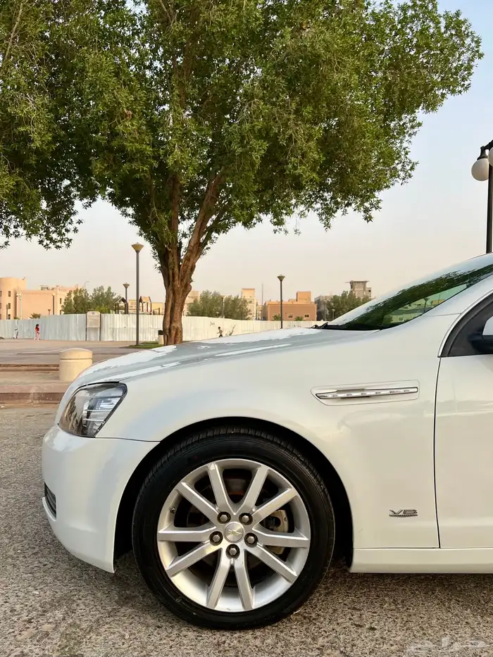 كابرس 15 ابيض LS 10
