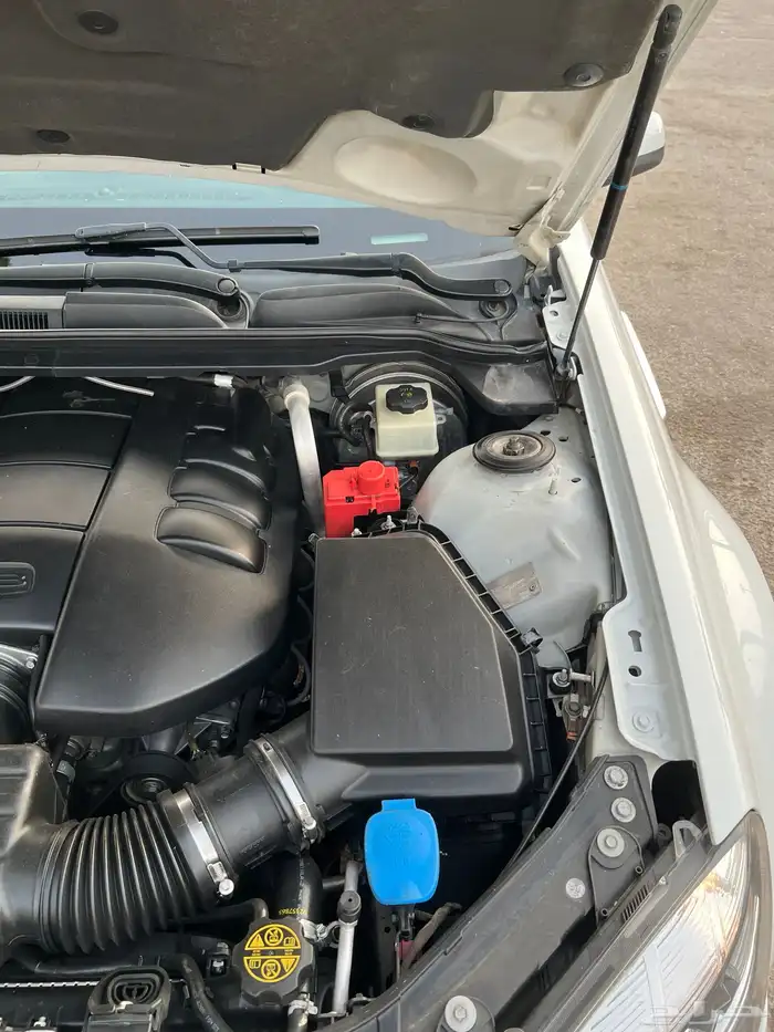 كابرس 15 ابيض LS 42