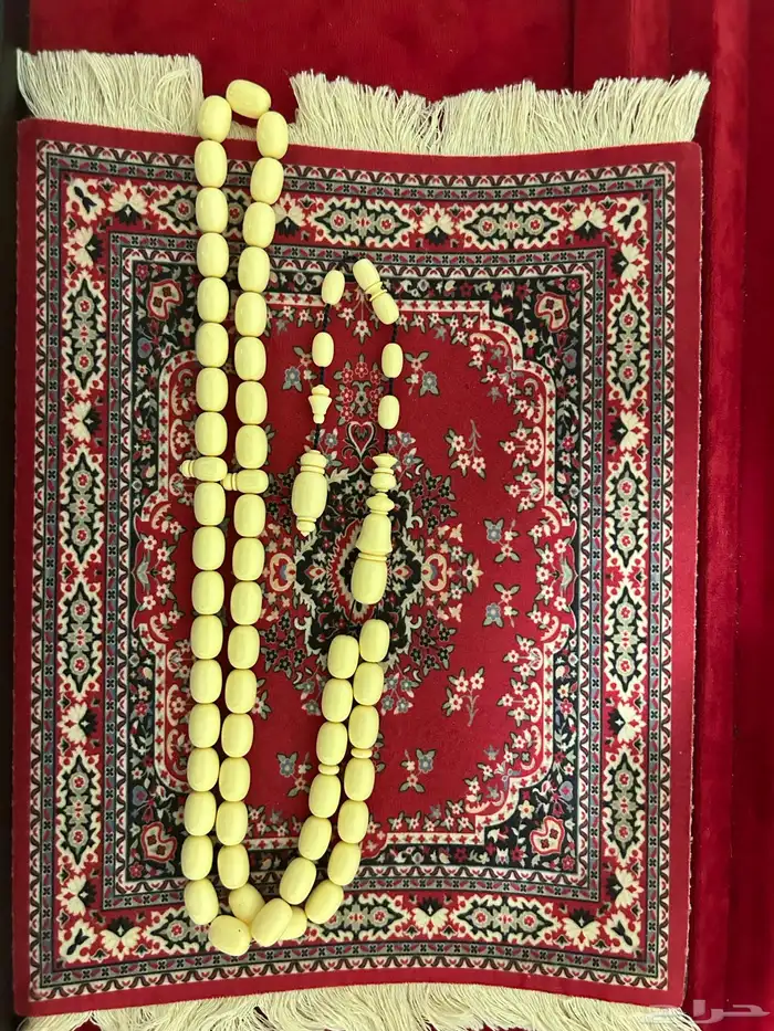 دومنه مسباح 1