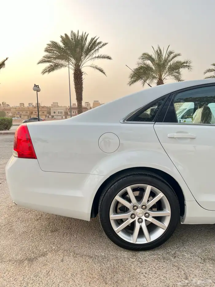 كابرس 15 ابيض LS 37