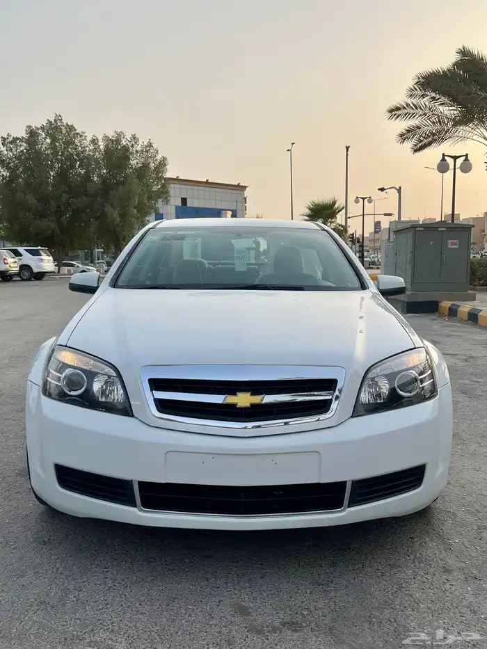 كابرس 15 ابيض LS 1