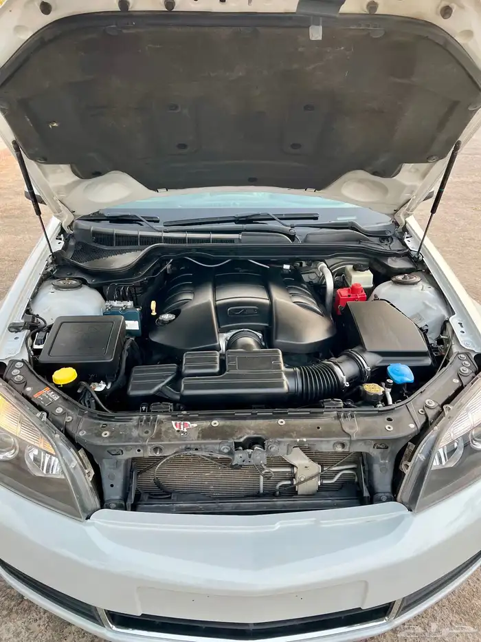 كابرس 15 ابيض LS 40
