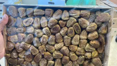 جميع أنواع التمور الفاخر 5